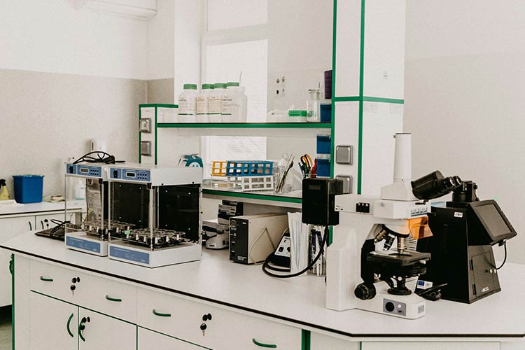 honey adulteration test