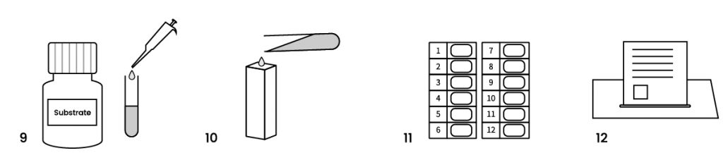 testing for pure honey