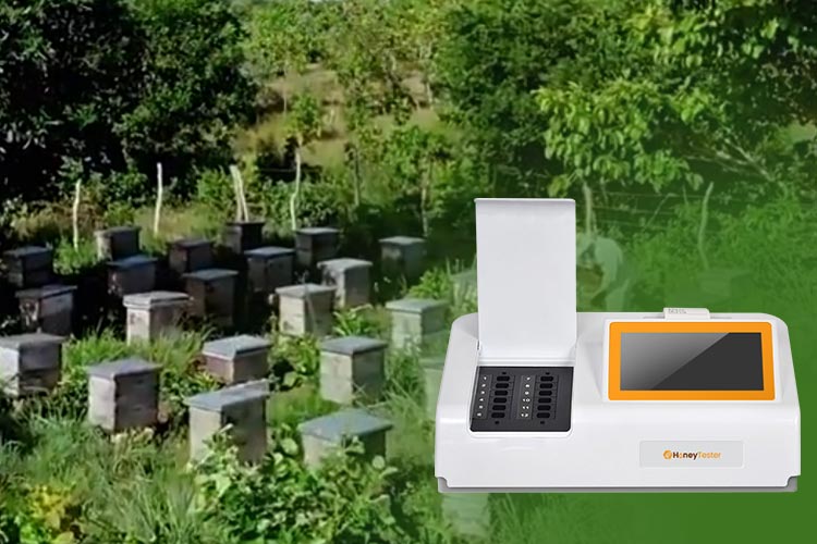 honey-laboratory-test