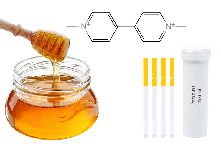 how to check real honey