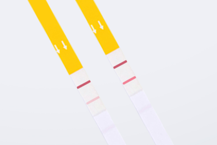 how-to-test-for-honey