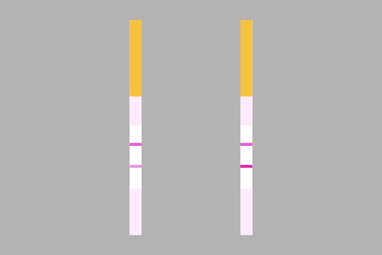 how-to-test-honey-moisture-content