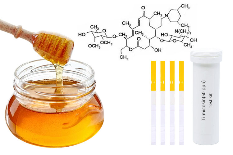 how to test honey