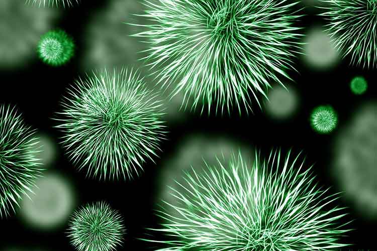 side-effects-of-trimethoprim