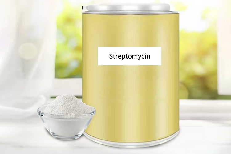 streptomycin