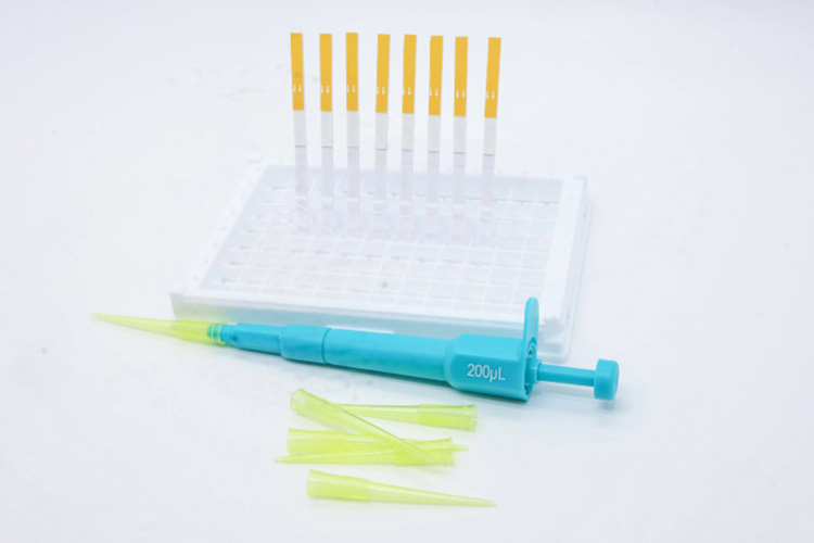 what is dexamethasone