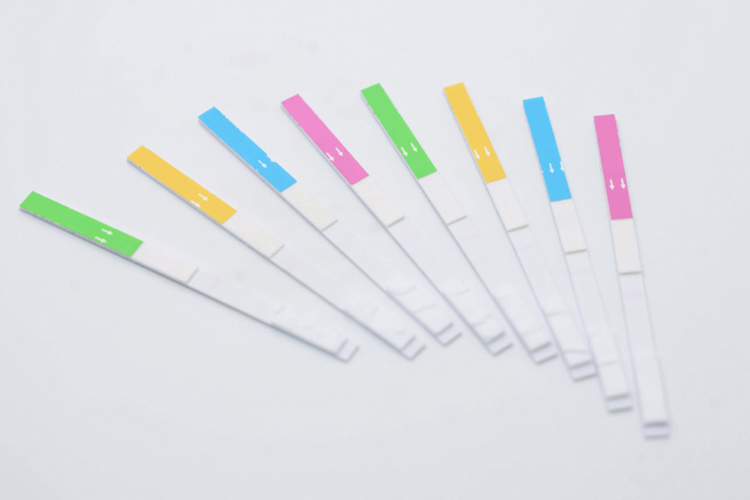 what-is-neomycin-for