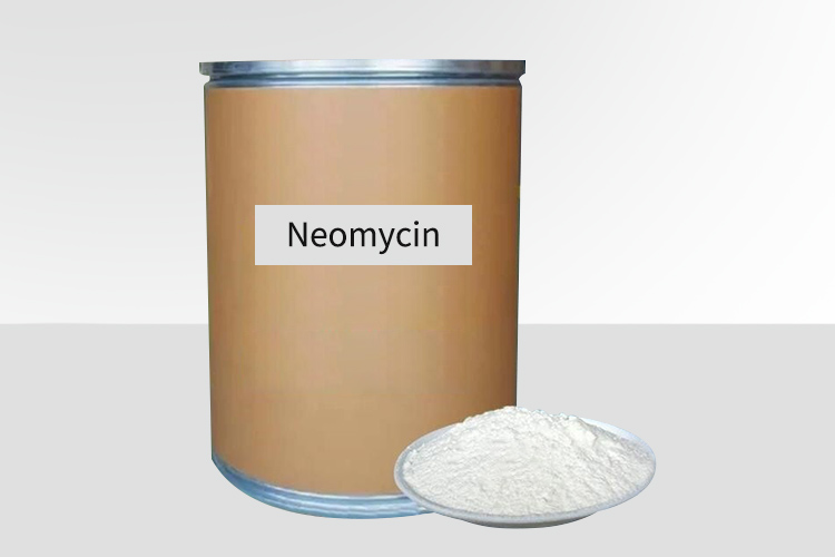 what-is-neomycin